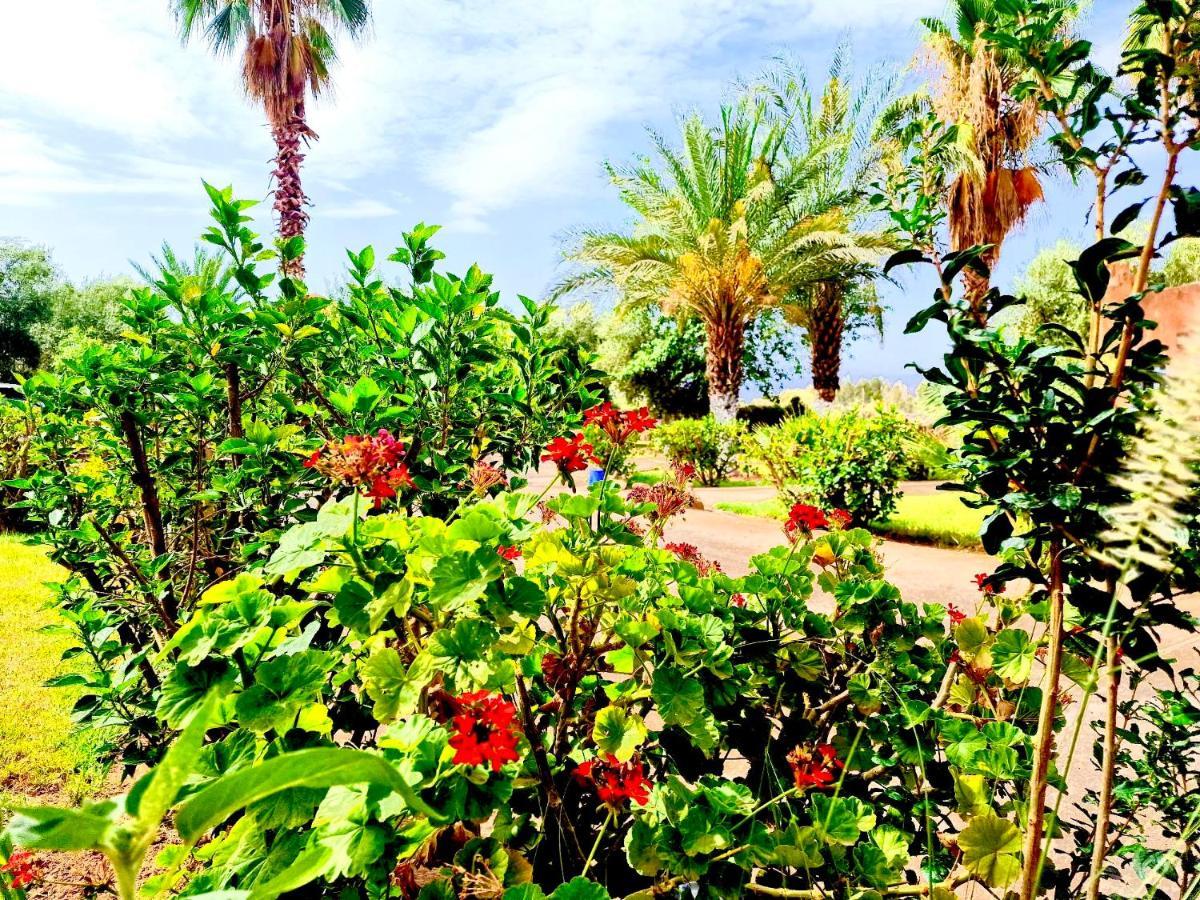 Le Domaine De Carole Marrakech Bed & Breakfast Douar Akkara Ngoại thất bức ảnh