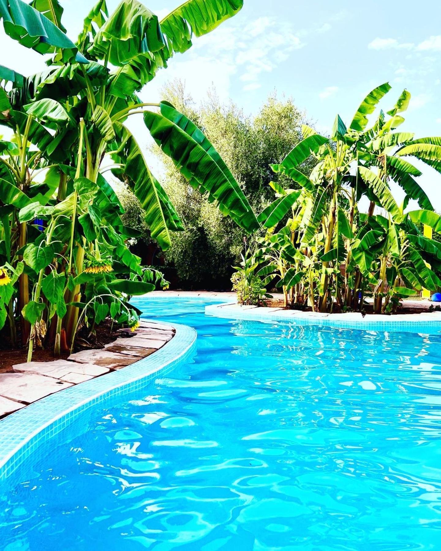 Le Domaine De Carole Marrakech Bed & Breakfast Douar Akkara Ngoại thất bức ảnh