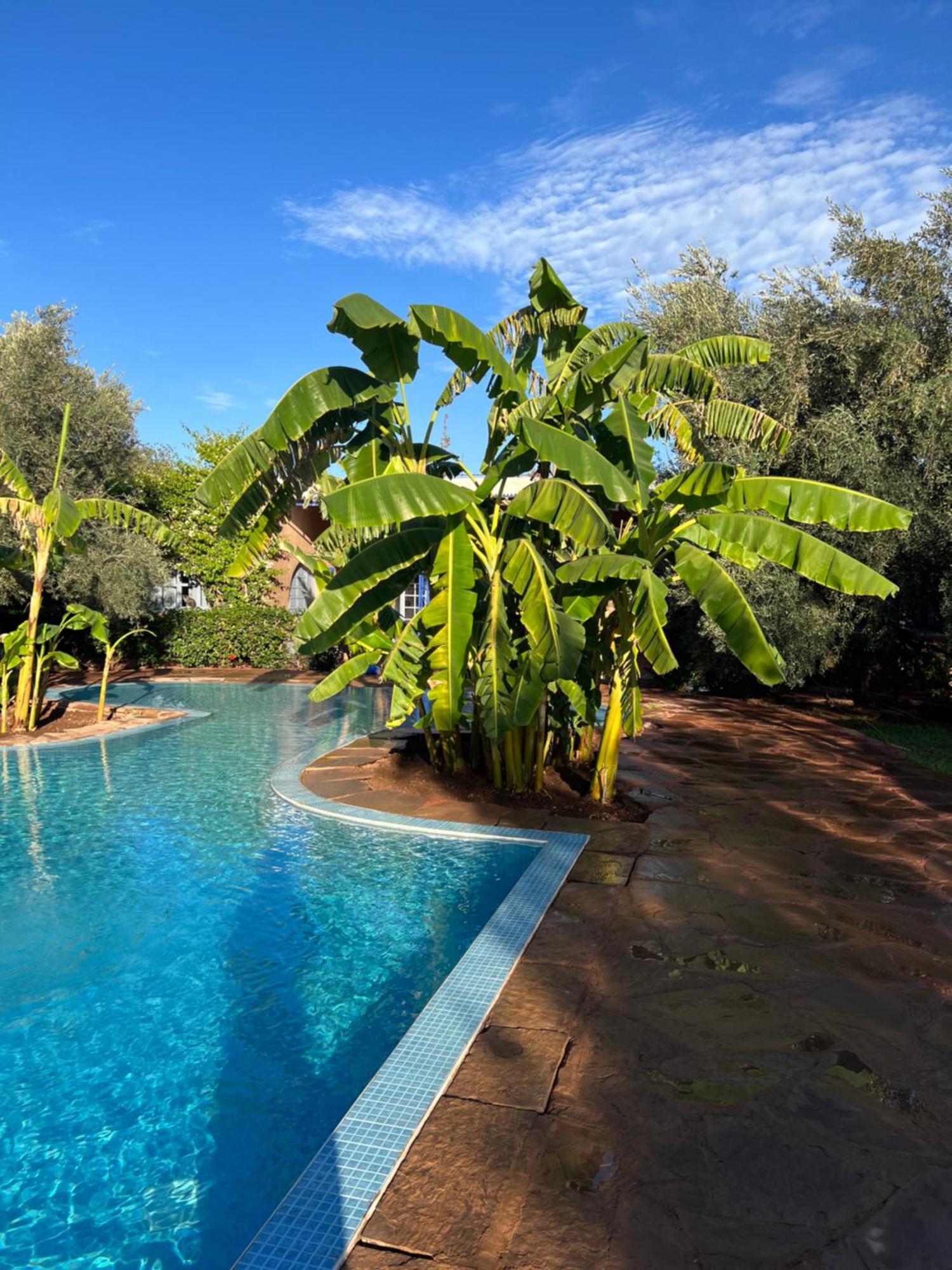Le Domaine De Carole Marrakech Bed & Breakfast Douar Akkara Ngoại thất bức ảnh