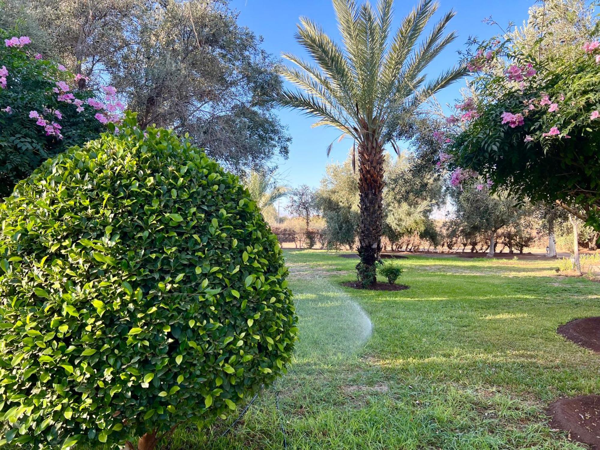 Le Domaine De Carole Marrakech Bed & Breakfast Douar Akkara Ngoại thất bức ảnh