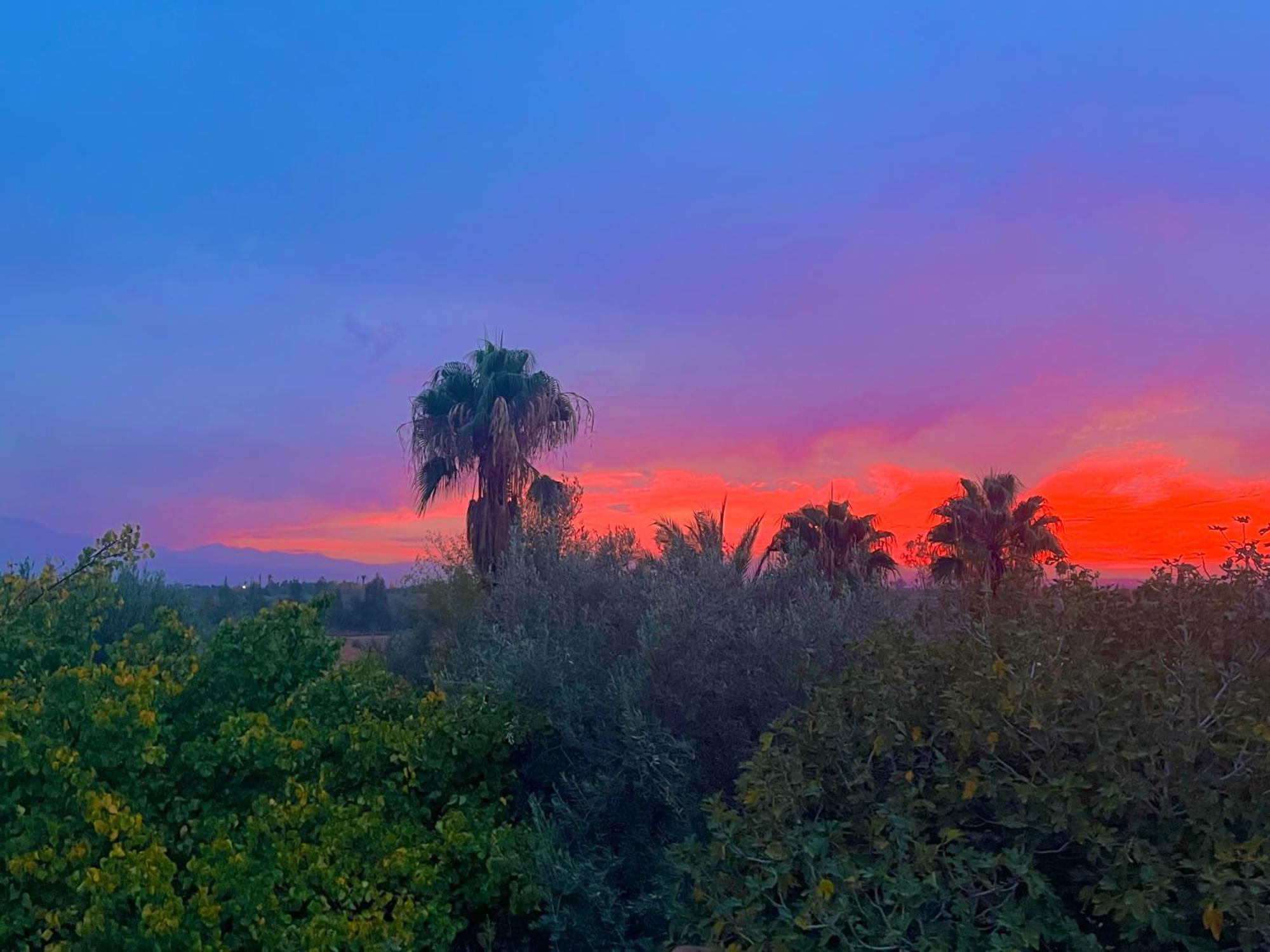 Le Domaine De Carole Marrakech Bed & Breakfast Douar Akkara Ngoại thất bức ảnh