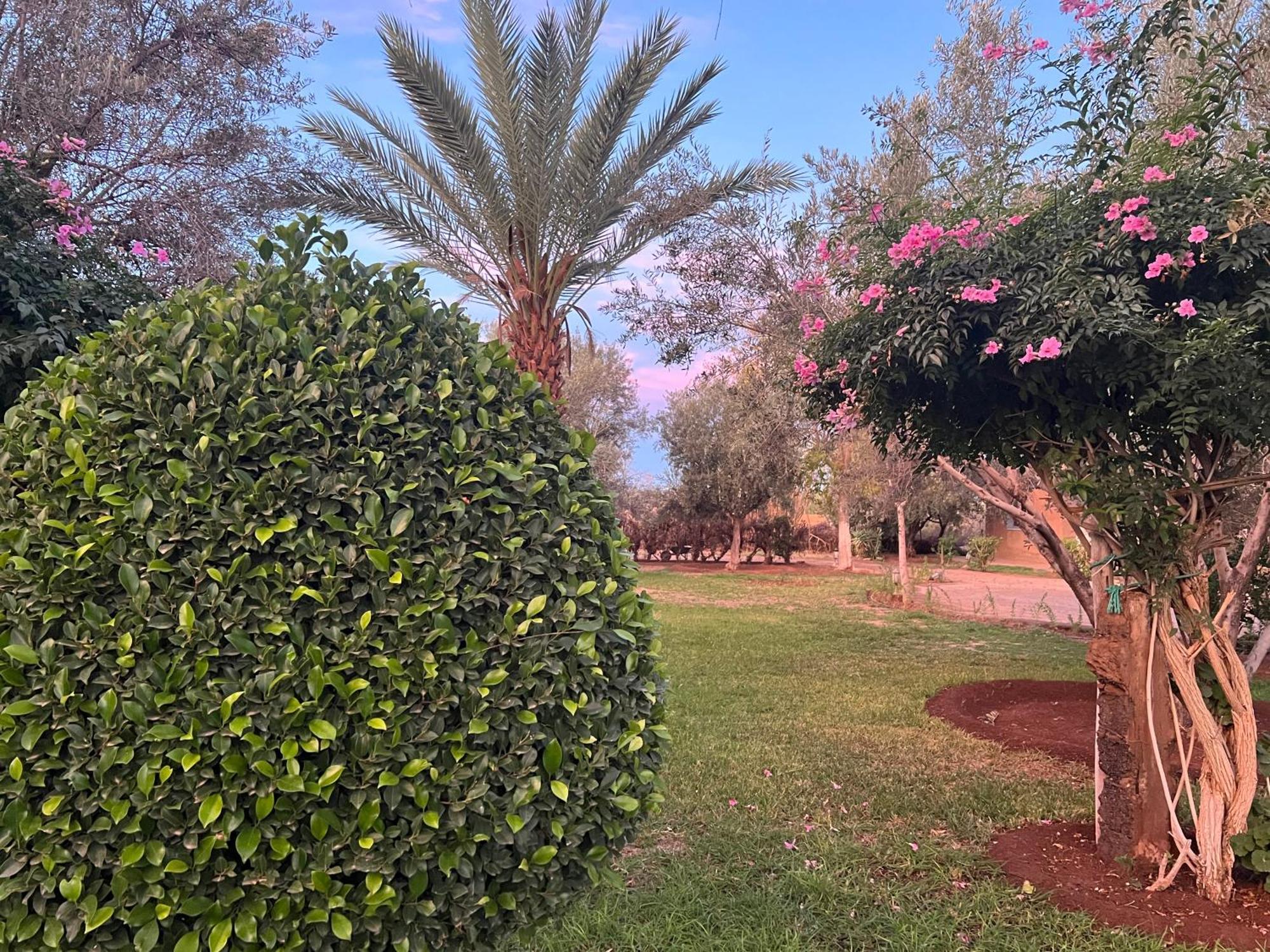 Le Domaine De Carole Marrakech Bed & Breakfast Douar Akkara Ngoại thất bức ảnh