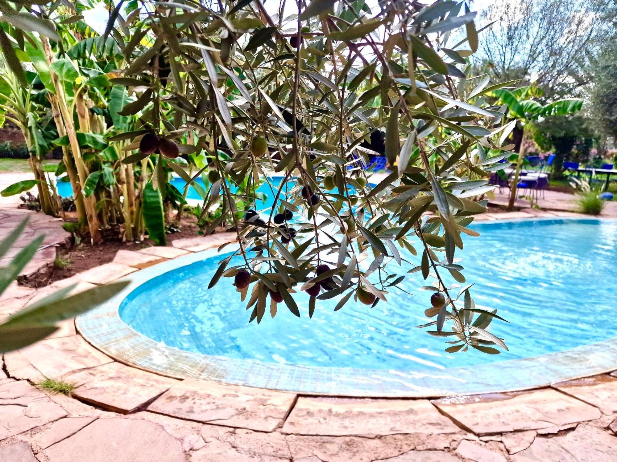 Le Domaine De Carole Marrakech Bed & Breakfast Douar Akkara Ngoại thất bức ảnh