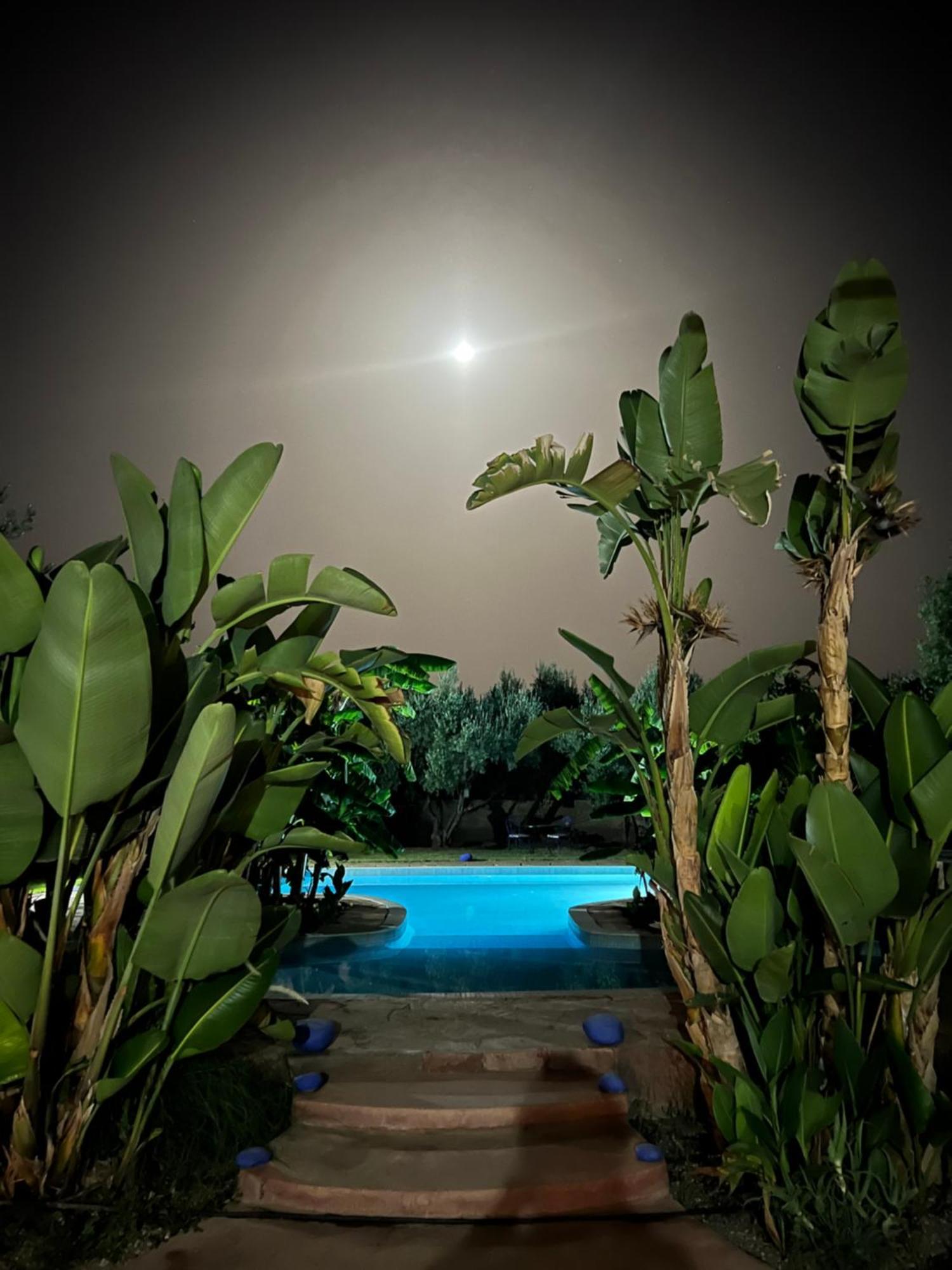 Le Domaine De Carole Marrakech Bed & Breakfast Douar Akkara Ngoại thất bức ảnh